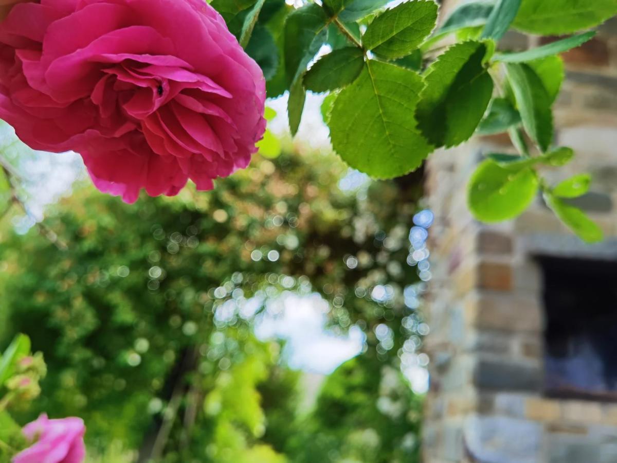 Ferienhaus Eifelrose Simmerath Esterno foto