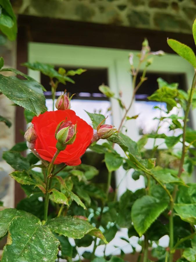 Ferienhaus Eifelrose Simmerath Esterno foto