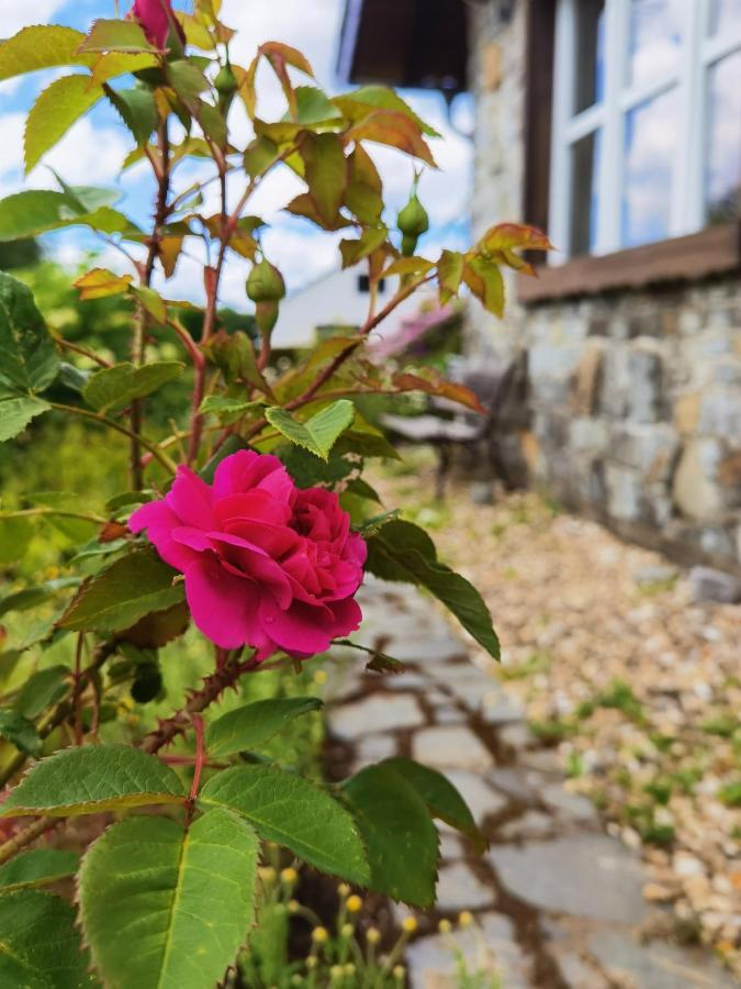 Ferienhaus Eifelrose Simmerath Esterno foto