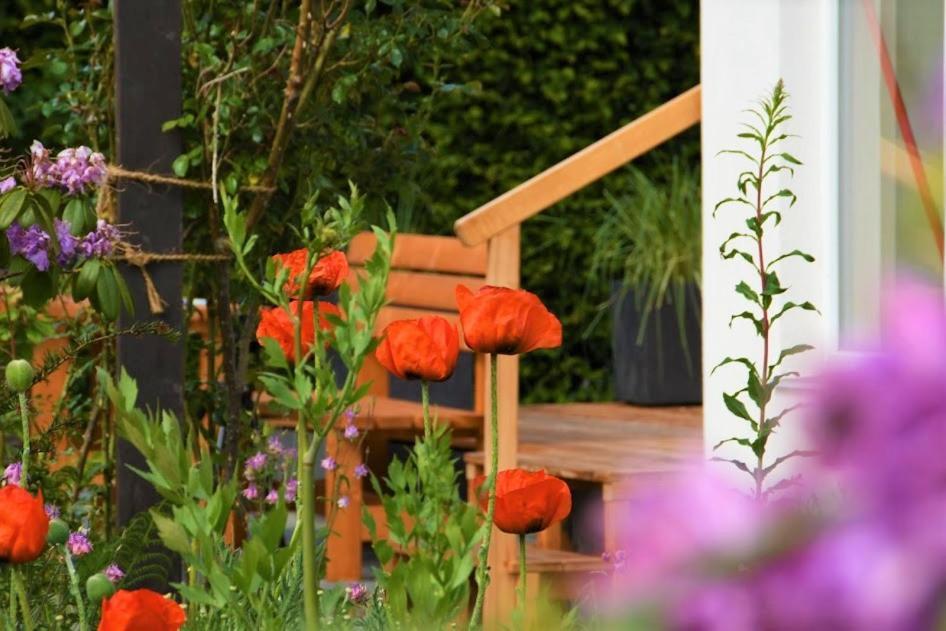 Ferienhaus Eifelrose Simmerath Esterno foto